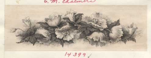 Proof, vignette "Poppies"